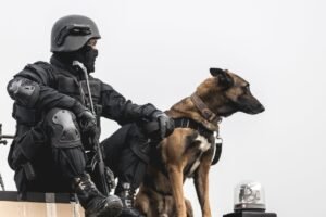 Join NSG | NSG Commando With Dog